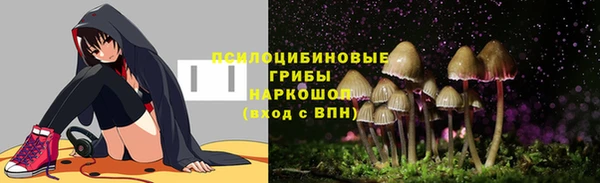 твердый Алексин