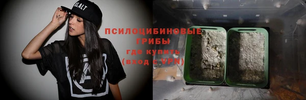 твердый Алексин