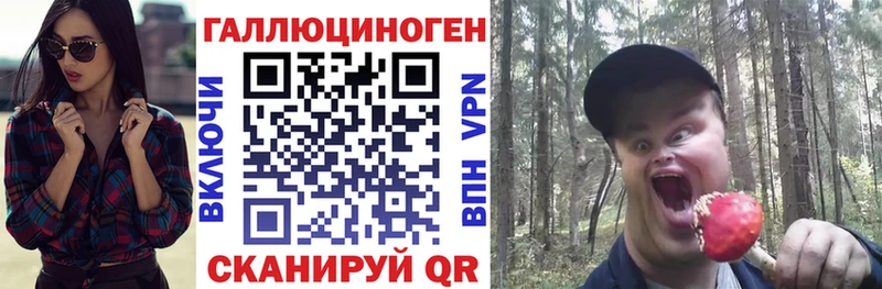 гидра   Рубцовск  Псилоцибиновые грибы Psilocybe 